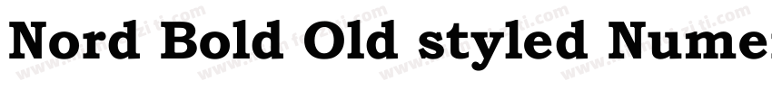 Nord Bold Old styled Numerals字体转换